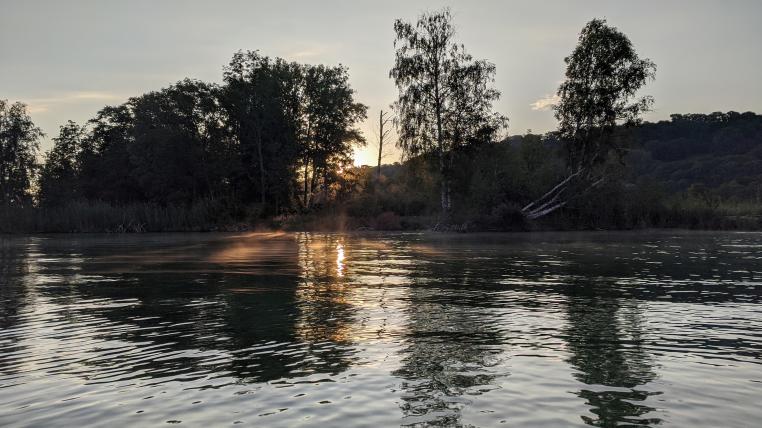 Grande Cariçaie Neuenburgersee