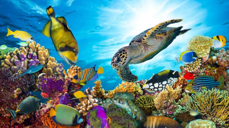 Biodiversität
