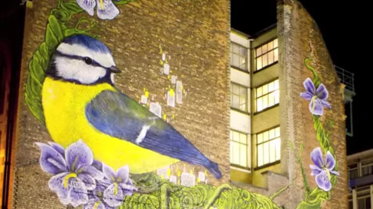 00a7eda44ec5c74f1ccfe10b396bd715ec46a061 bluetit.png