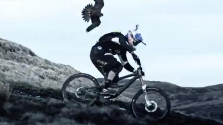 f2325b50030ae9a973373bb8d4ecb4f7cf4e79f7 Mountainbike
