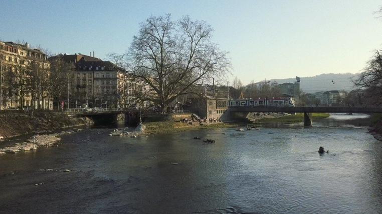 Aufgewertete Sihl in Zürich