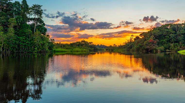 Amazonas Brasilien