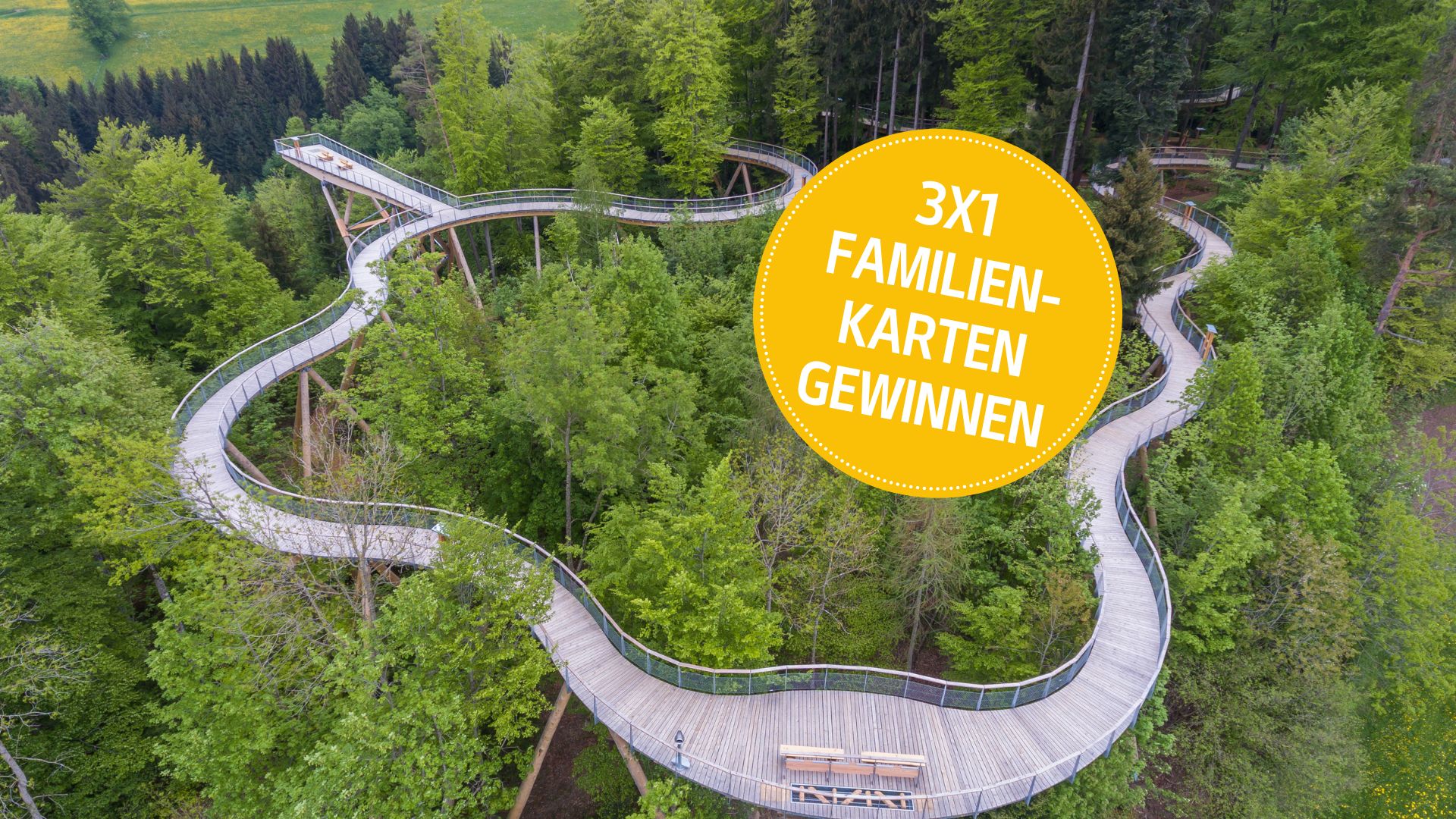 Gewinnen Sie 3x eine Familienkarte für den Baumwipfelpfad Neckertal