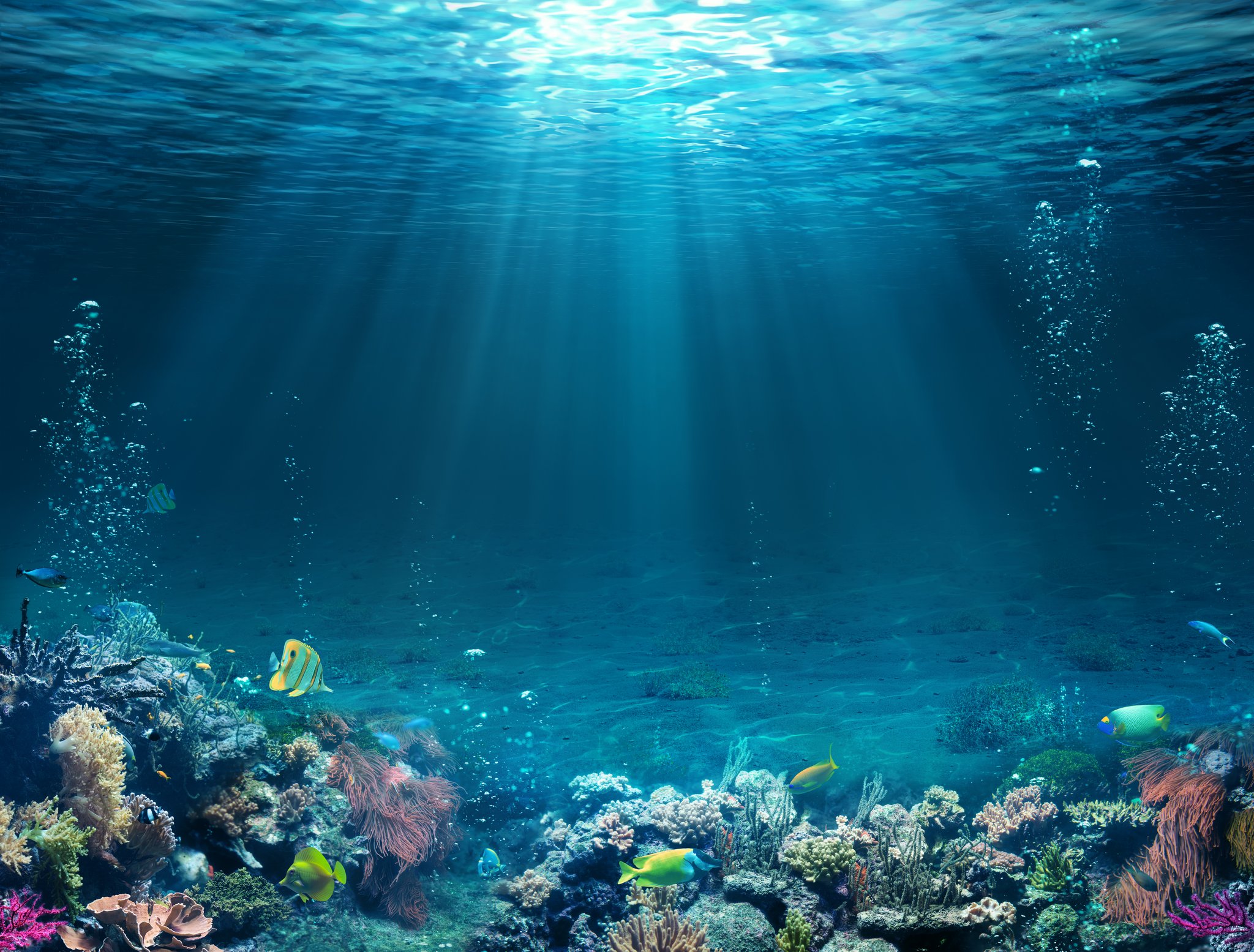Lärm als unsichtbare Gefahr für die Unterwasserwelt