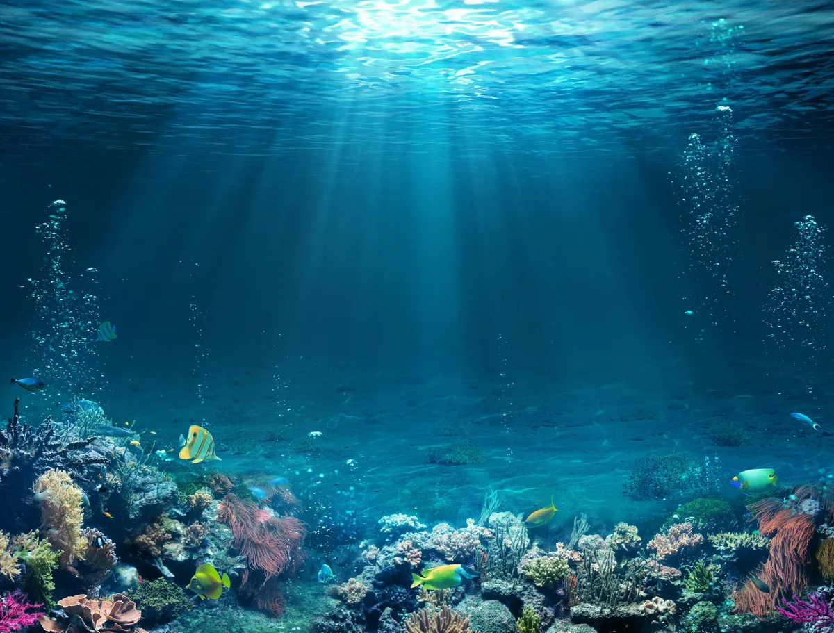 AdobeStock_Romolo_Tavani Lärm als unsichtbare Gefahr für die Unterwasserwelt