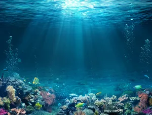 Die Unterwasserwelt wird häufig durch Lärm gestört.