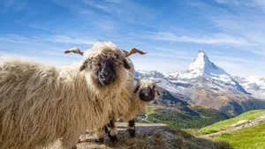Auf den Spuren von Fauna und Flora: Am 5. Festival der Natur gab es viel zu entdecken (Themenbild).