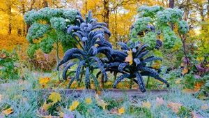 Der Frost im April 2017 sorgt für gravierende Ernteausfälle.