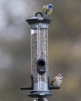 Vogelfuetterung mit Futtersaeule