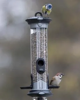 009d37d371727969674f4e948328436c76288214 Vogelfuetterung mit Futtersaeule