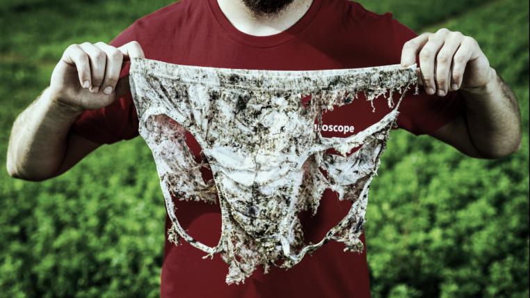Von Bodenlebewesen zerfressene Unterhose