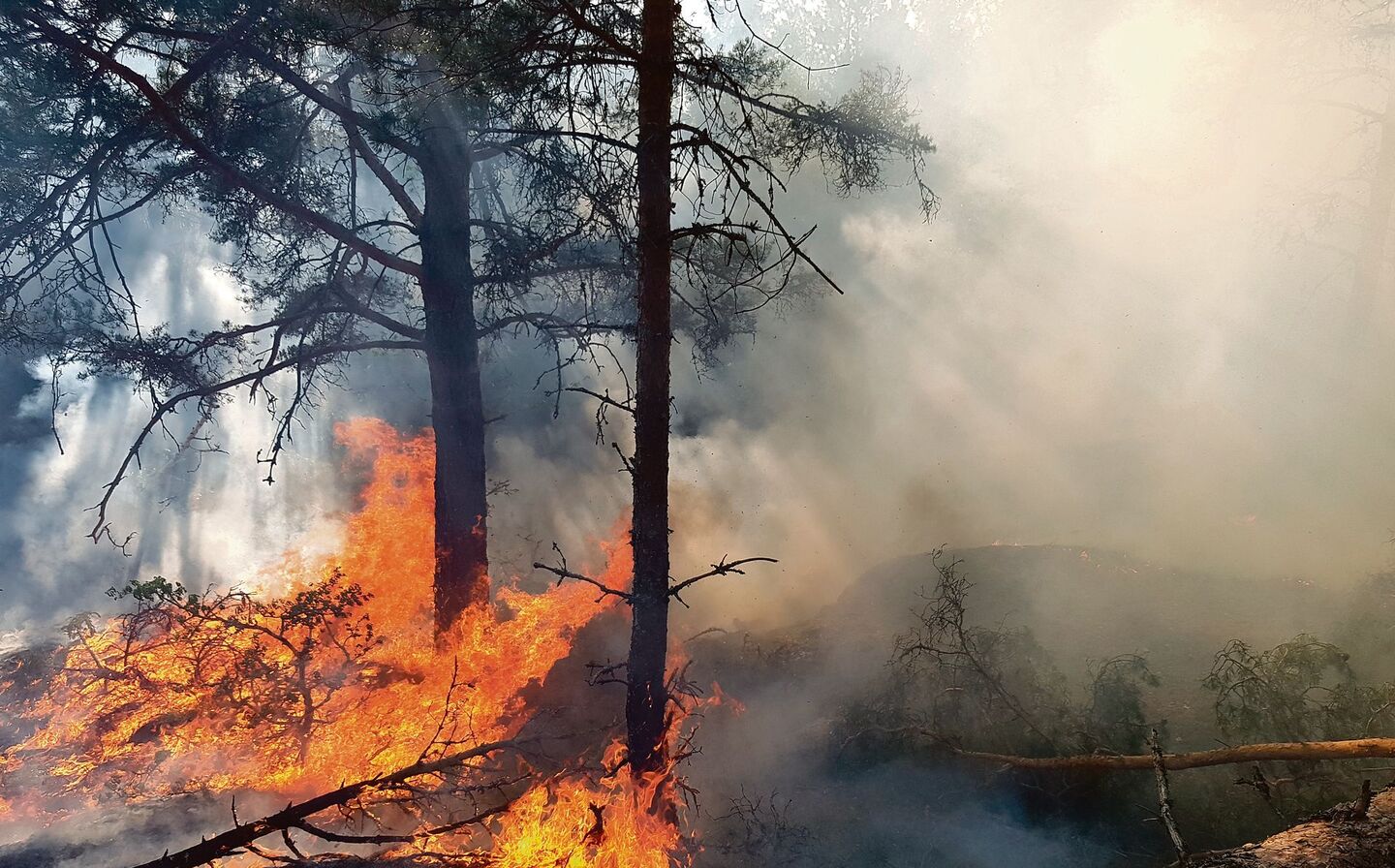 Waldbrand