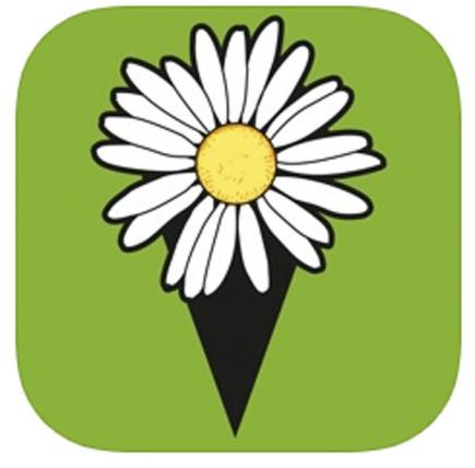 App.jpg