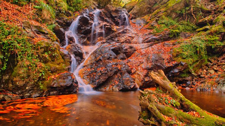 Naturpark