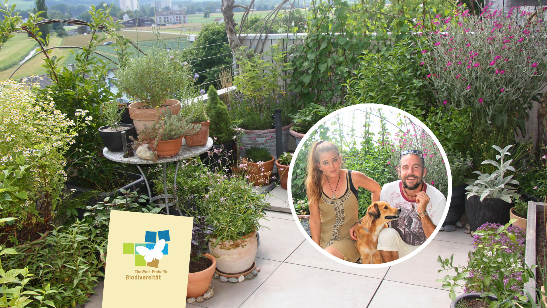 Sandro und Annja Cecchele: Terrasse als Insektenparadies