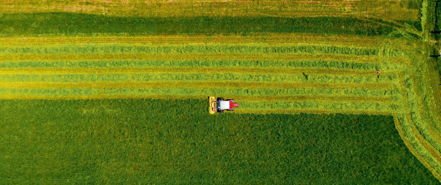 70 Prozent der landwirtschaftlichen Fläche in der Schweiz besteht aus Wiesen und Weiden.