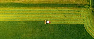 70 Prozent der landwirtschaftlichen Fläche in der Schweiz besteht aus Wiesen und Weiden.