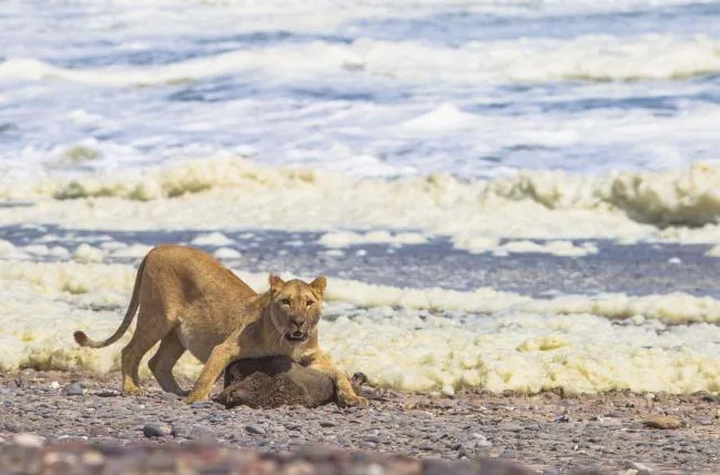 6cd66dae9cef634f892e34ec17d8273ffe60d81d 01-namibia.jpg