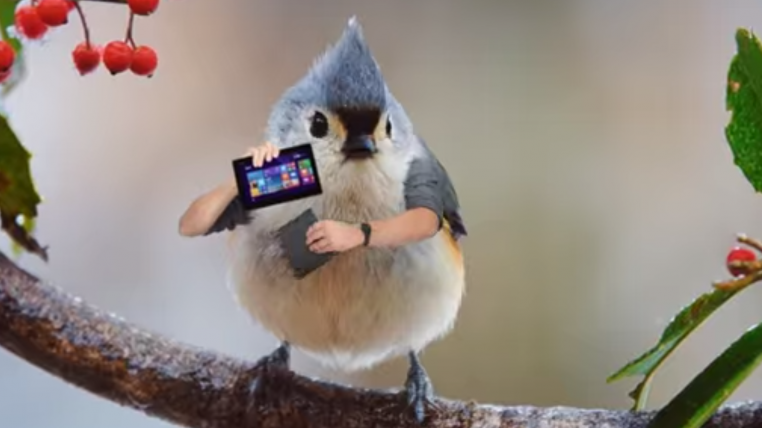 modernbird.png