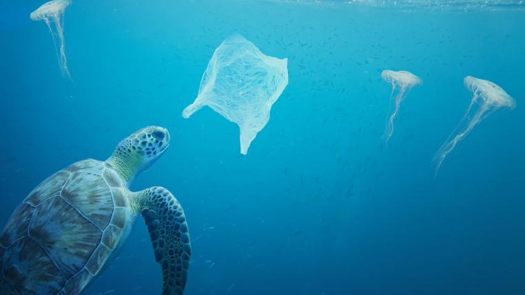 Plastik1.jpg