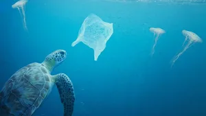 Immer mehr Plastik im Meer: Ein grosser Teil scheint aus Asien zu stammen.