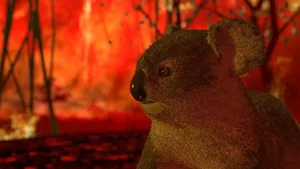 Brände in Australien: Ökologen rechnen damit, dass mindestens eine Milliarde Säugetiere, Reptilien und Vögel ums Leben gekommen sind.