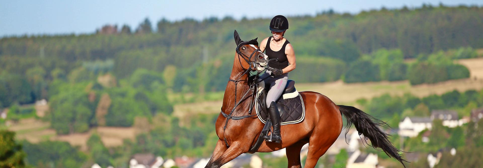 Erschrockenes Pferd mit Reiterin