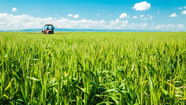 Landwirtschaft Pestizide