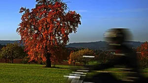Tritt die Natur gegen die Technik an, verliert sie, zumindest was die Geräuschkulisse angeht.