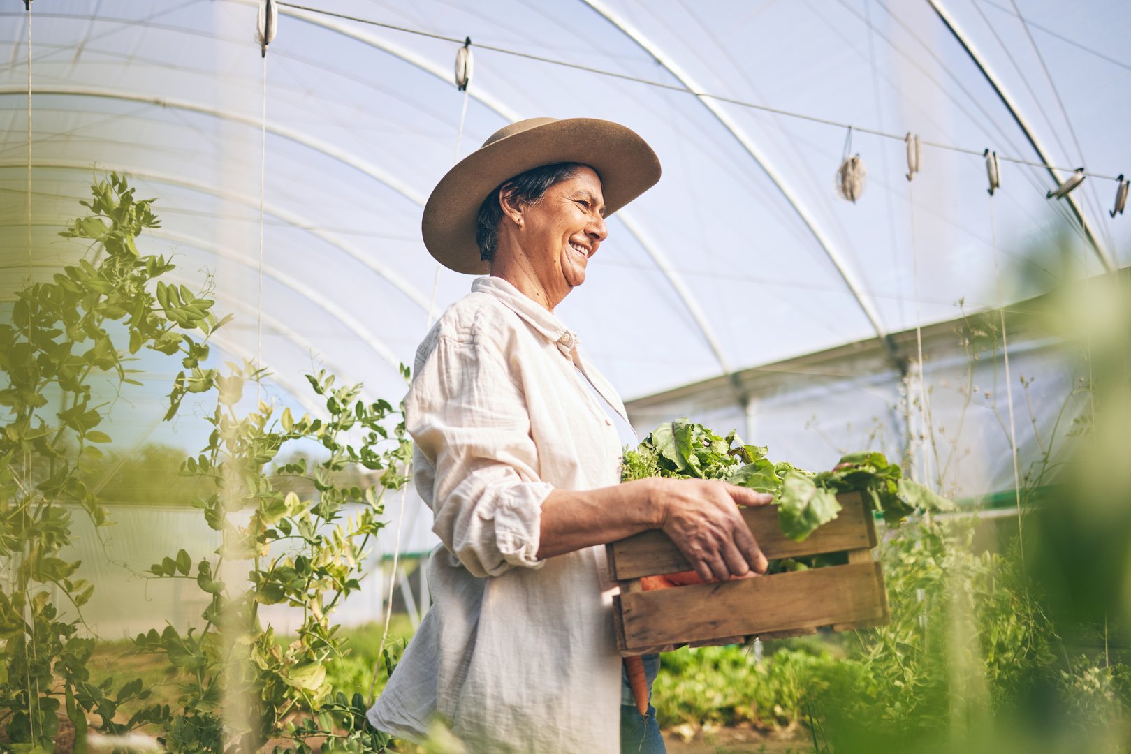 Wie sich die Rechte für Frauen in der Landwirtschaft verändern