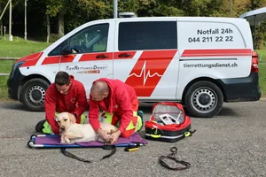 Der Tierrettungsdienst leistet jährlich rund 5500 Einsätze für Heim- und einheimische Wildtiere in Not.