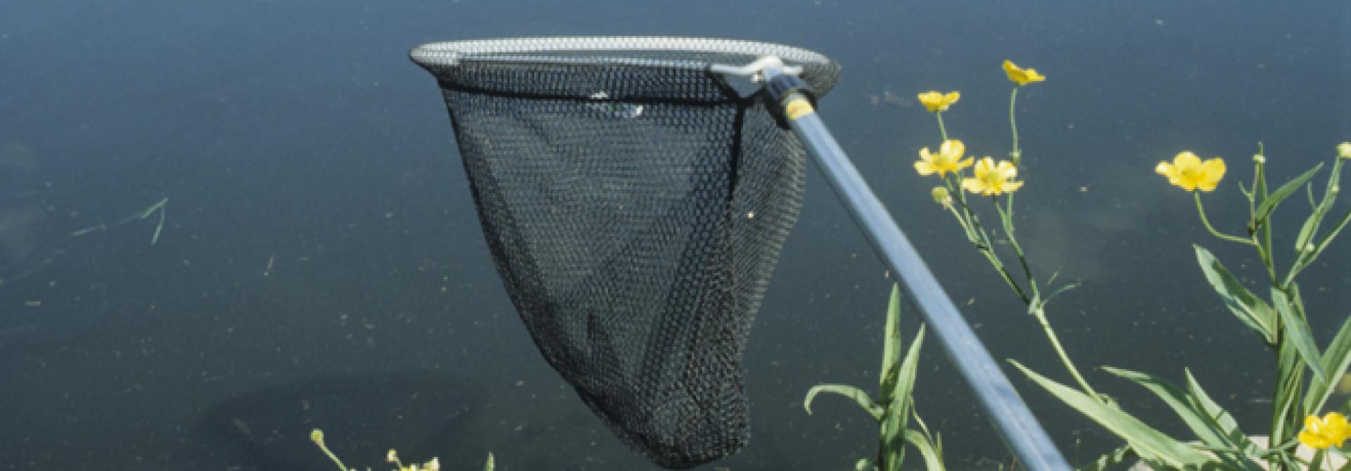 Gartenteich_s.jpg