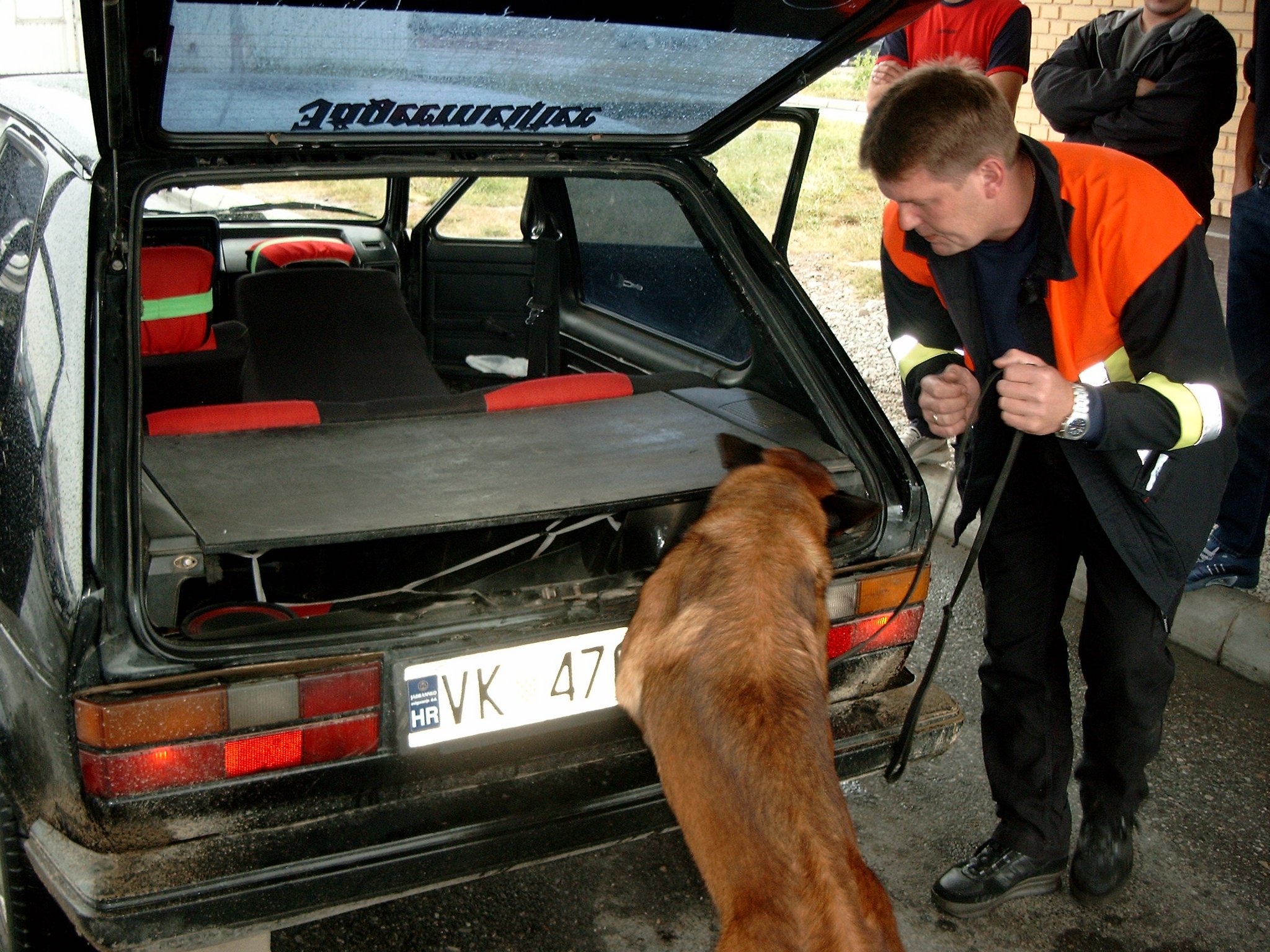 Hunde leisten bei der Minensuche wichtige Arbeit