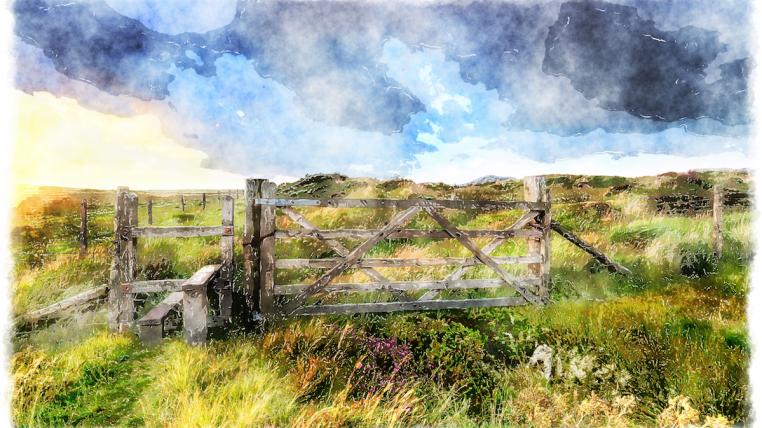 Moorlandschaft
