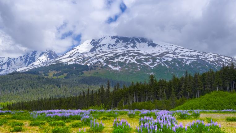 alaska-rekordtemperaturen.jpg