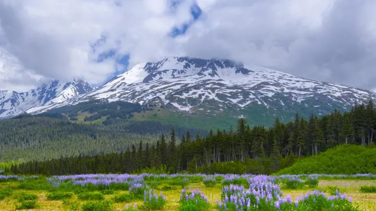 58095329908345835f4b8dc19f4d92361b659e5b alaska-rekordtemperaturen.jpg