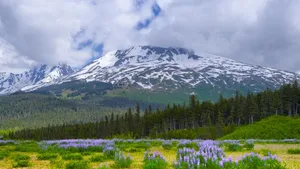 Frühlingshaft: Im März herrschte in Alaska April- oder Mai-Wetter.