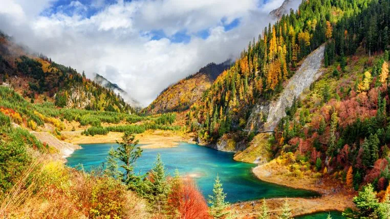 5486f8806175165ca015cae18c7e50db589b523a Wald in China