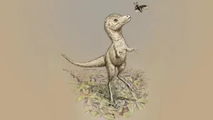 Rekonstruktion eines Baby-Tyrannosauriers.