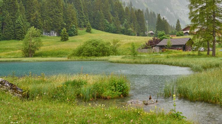Regnerische Schweizer Berglandschaft