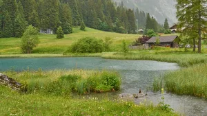 Die Regenfälle von letzter Woche brachten der trockenen Landschaft dringend nötige Erleichterung.