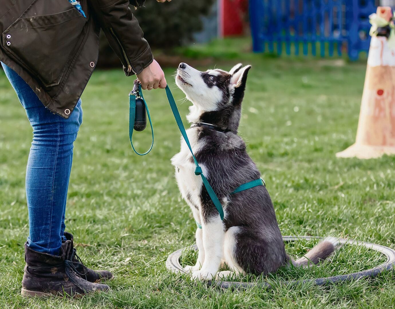Hund an der Leine