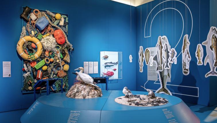 Ausstellung «Erde am Limit»
