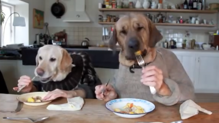 dogsdining.png