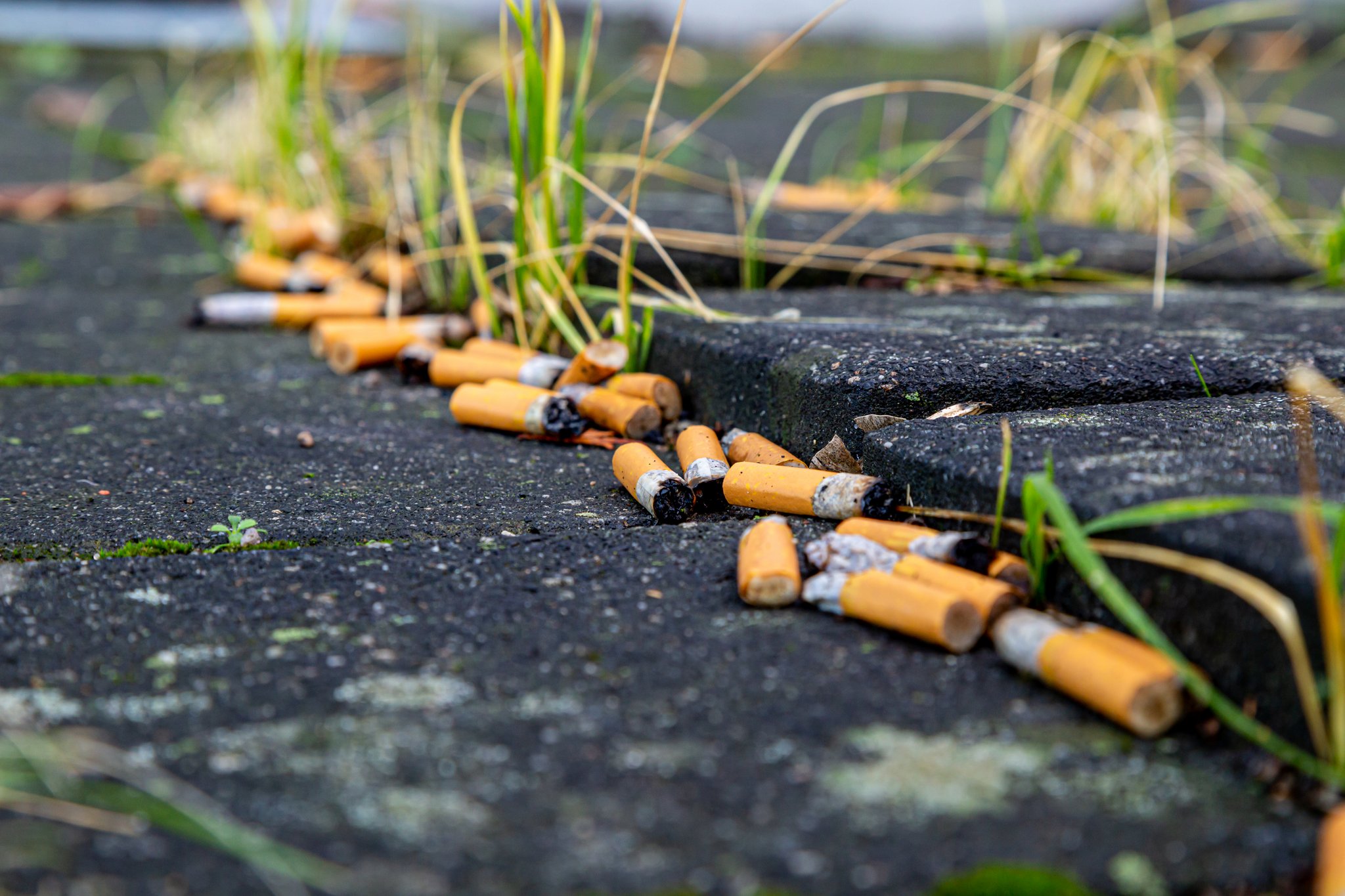 Zigarettenfilter werden zum Umweltproblem