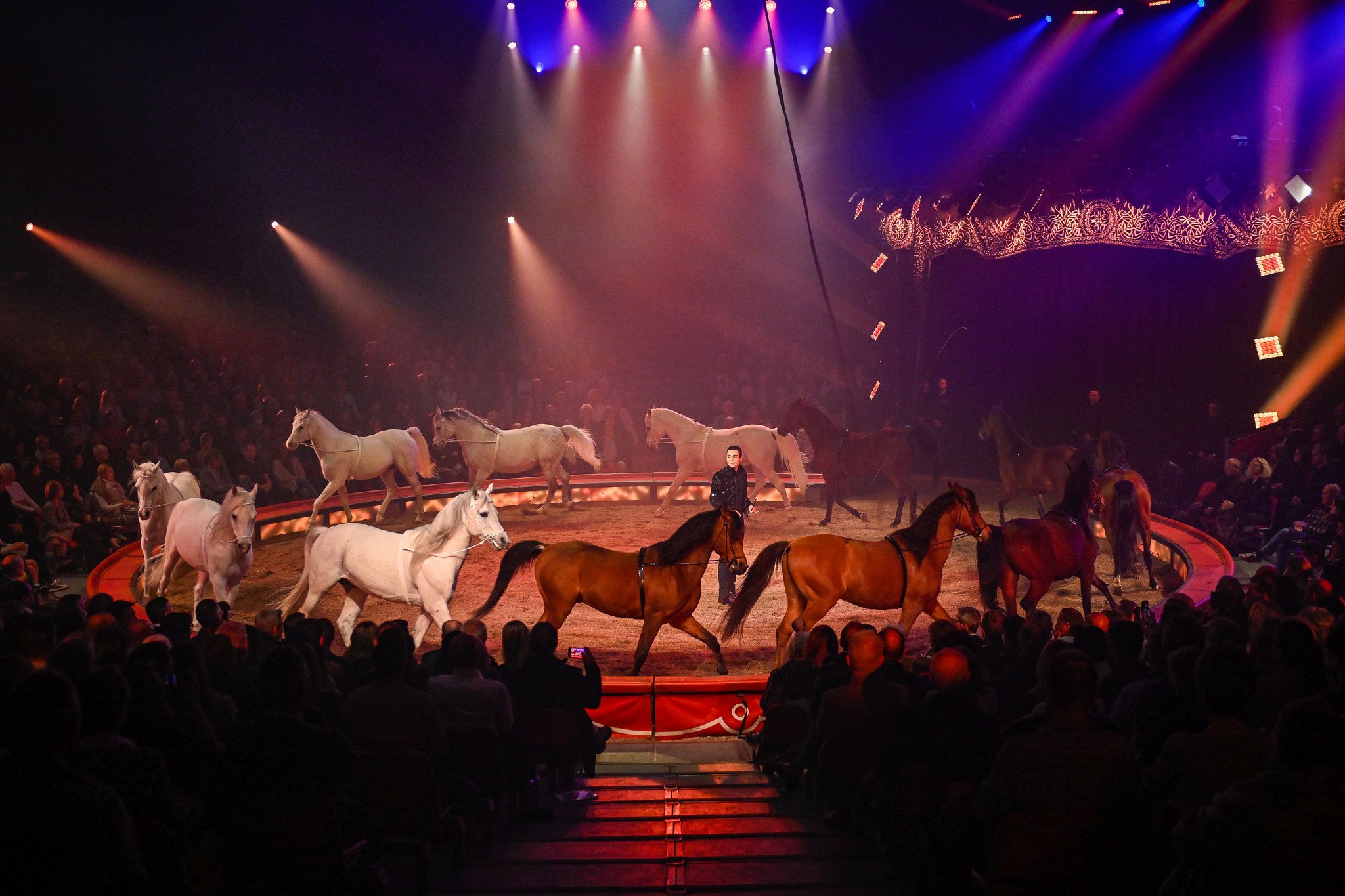 Gewinnen Sie 5x2 Tickets für den Circus Knie in Luzern