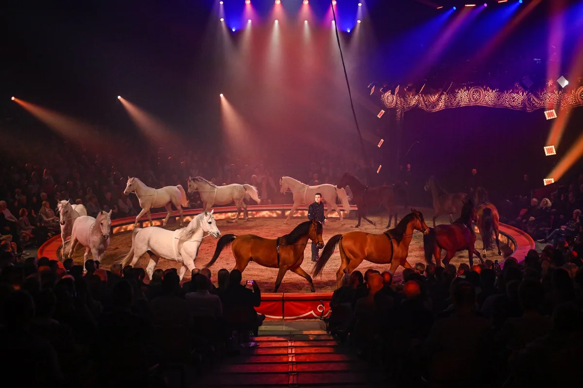 Familie_Knie_Pferde-32 Gewinnen Sie 5x2 Tickets für den Circus Knie in Luzern