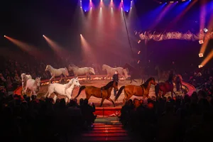 Im Circus Knie wartet viel Action auf die Zuschauer.