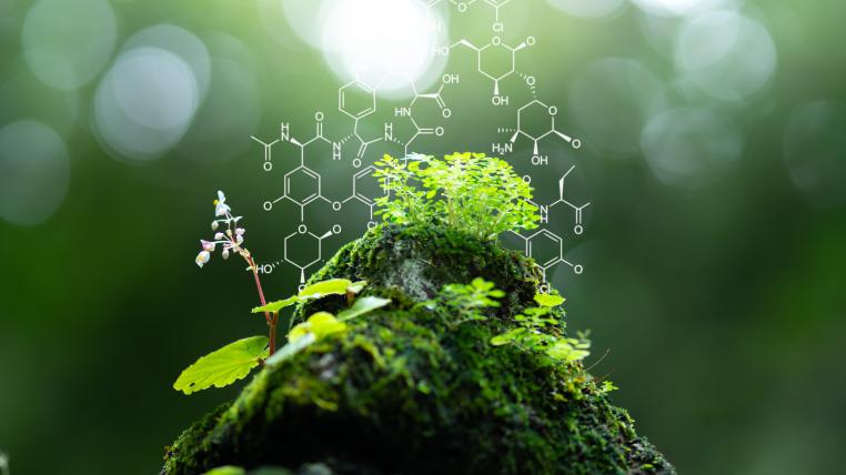 Technik inspiriert von der Natur