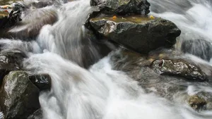 An der Suhre zwischen Suhr und Aarau entstehen nun doch keine Kleinwasserkraftwerke.